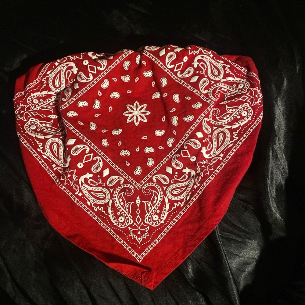 Red Paisley Bandana
